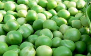 Green Peas